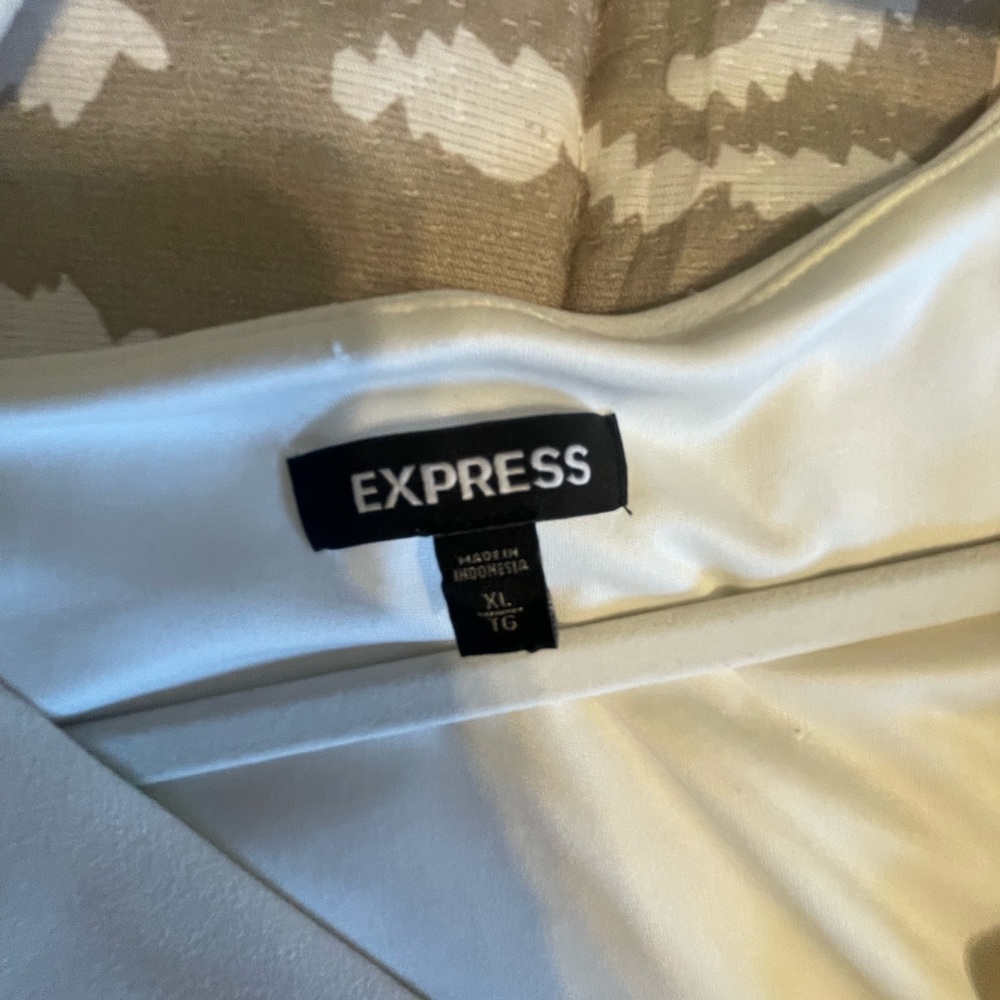 Express Dress - Picture 2 of 3